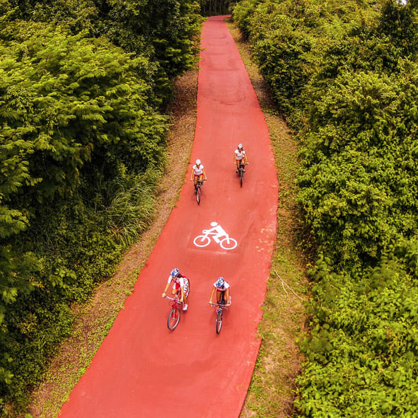 Recorrer la ciclopista – IXTAPA – ZIHUATANEJO, AVENTURA Y ECOTURISMO
